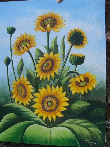 Girasoles