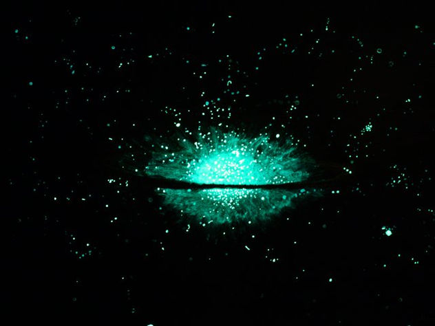 Nebulosa del Sombrero (foto en la oscuridad)