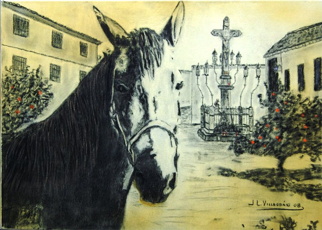 Plaza de Capuchinos Graphite Canvas Landscaping