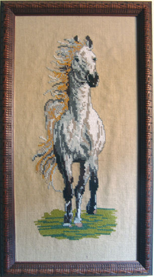 Caballo Others Canvas