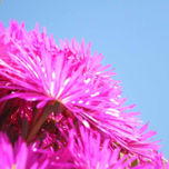 FOTOS thumbnail 2