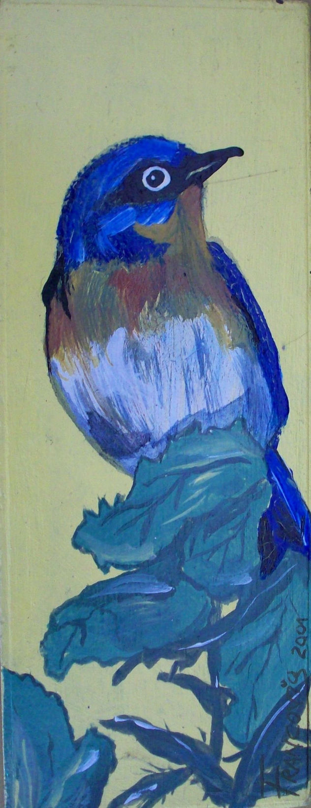 cabecita_azul_02