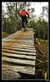 pure bike sensations_126