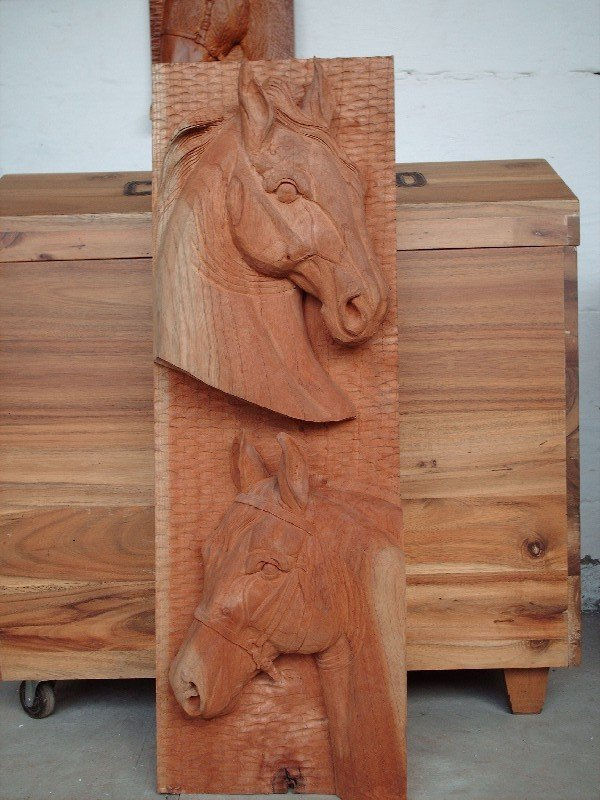 cabezas de caballos