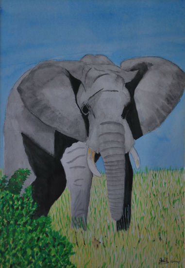 Elefante Watercolour Paper Animals