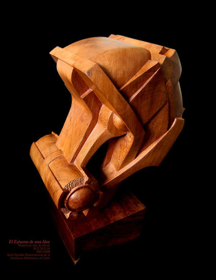 El esfuerzo de una Idea Wood Abstract