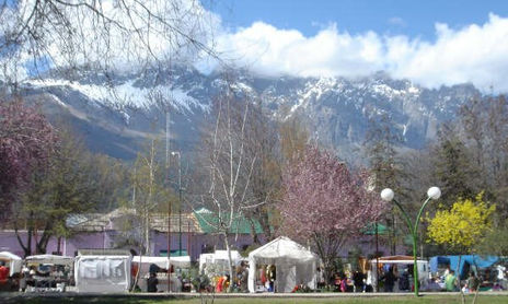 Bolsón