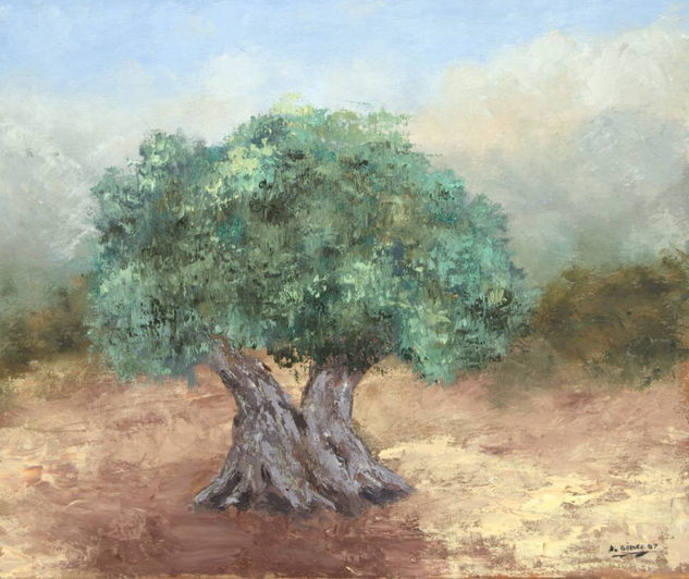 Olivo Oil Canvas Landscaping