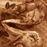 Fotografia net art thumbnail 1