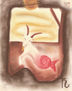 capricornio