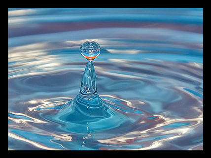 Gota