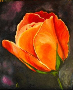 ROSA GROGUE