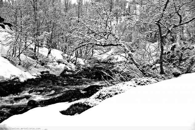 Amanecer perdido de Noruega Naturaleza Blanco y Negro (Digital)