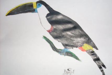 El tucan