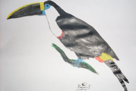 El tucan