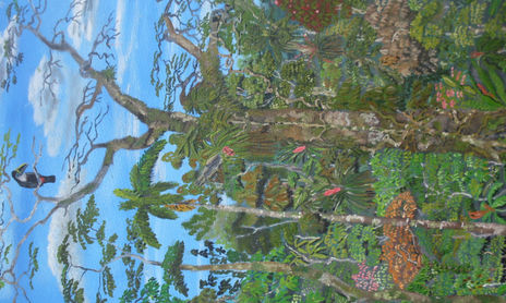 los colores de la amazonia