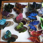 Mariposas thumbnail 1