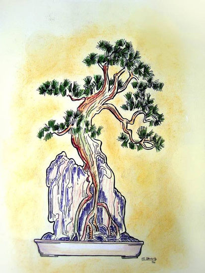 Bonsai sobre las rocas Charcoal