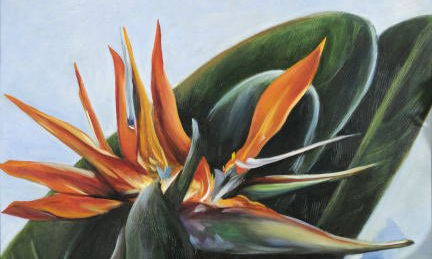Flores