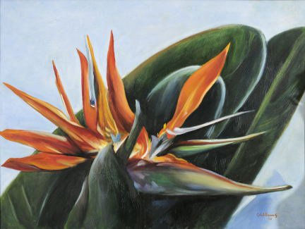 aves del paraiso Oil Canvas Floral Painting