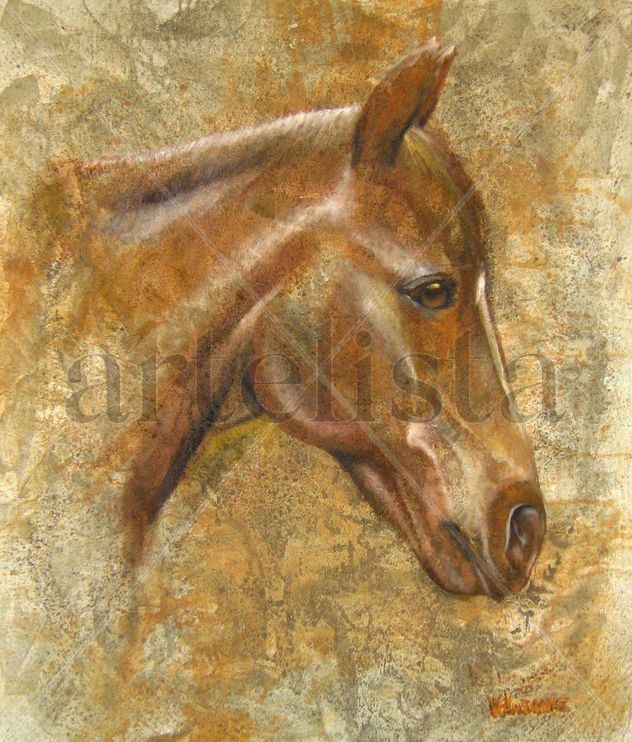 cabeza de caballo
