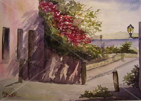 Colonia