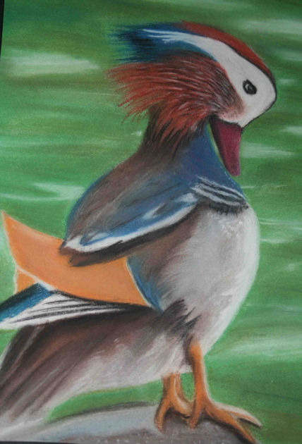 Pat