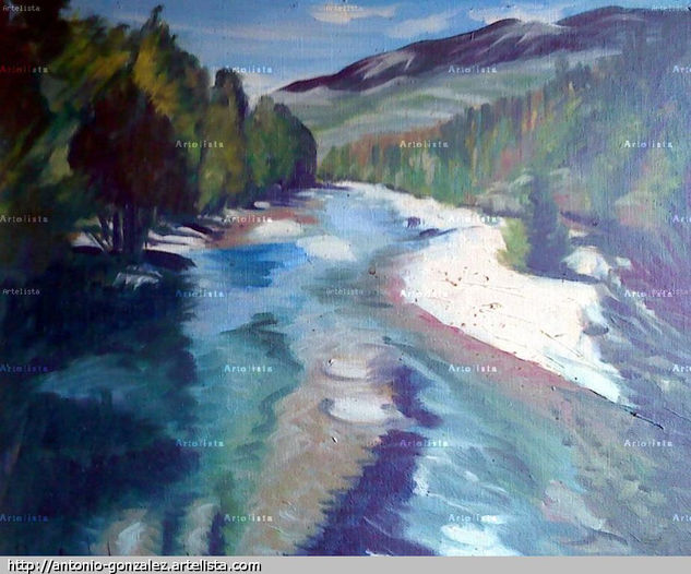 El rio de Navalonguilla Oil Canvas Landscaping