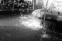 Agua