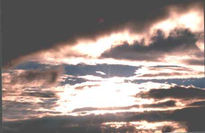 Cielo