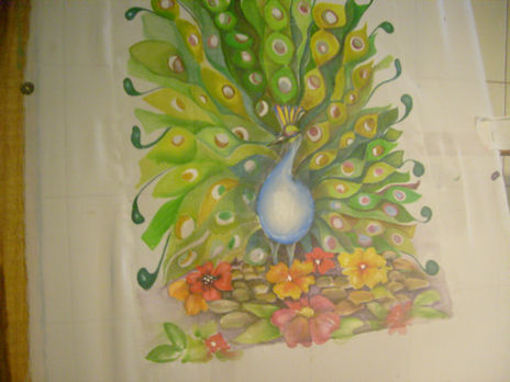 Pavo real 2