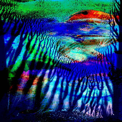 Serie paisajes,...