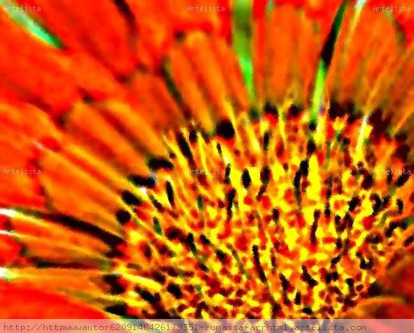 fotografia  digital-centro  de  flor