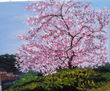 almendro