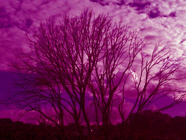 Dramático Atardecer Nature Color (Digital)