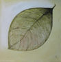 Hoja
