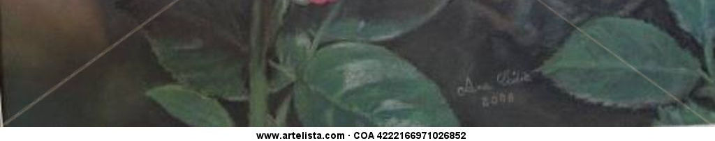 Imagen de portada