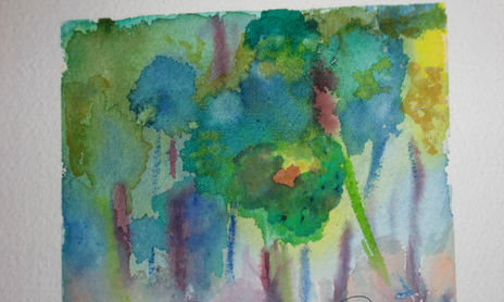 BOSQUES
