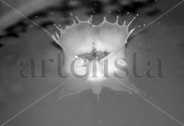 drops II