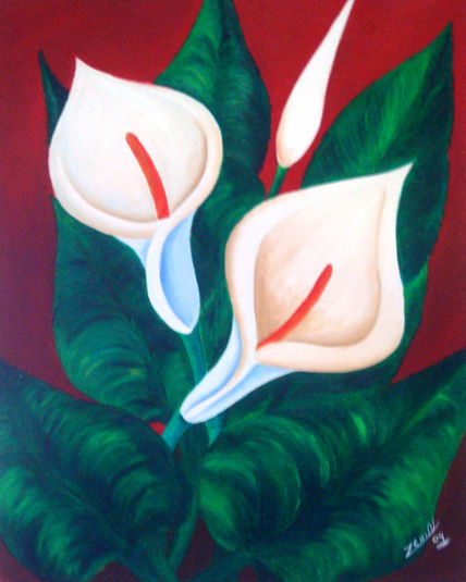 Cartuchos