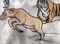 tigre de caceria