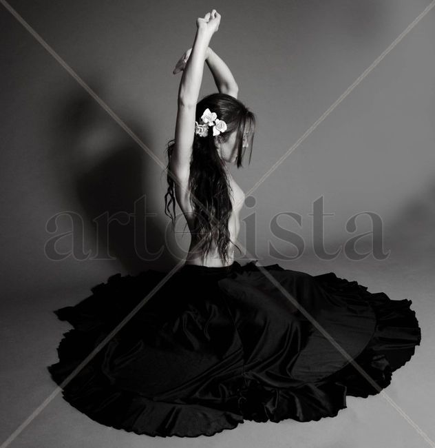FLAMENCOS 1