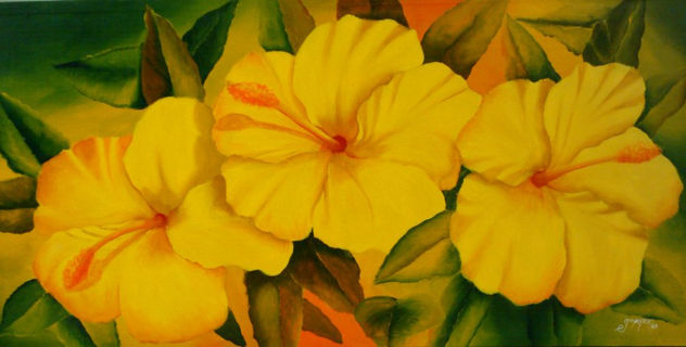CAYENAS AMARILLAS
