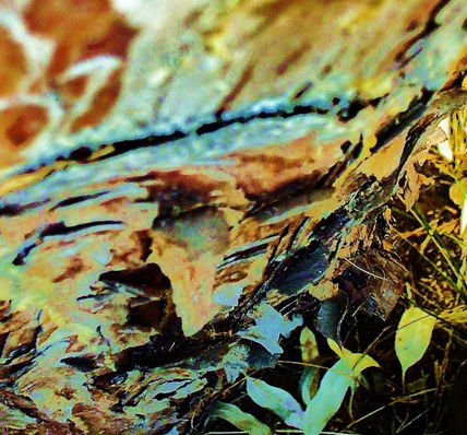 Otoño
