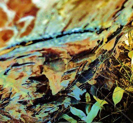 Otoño