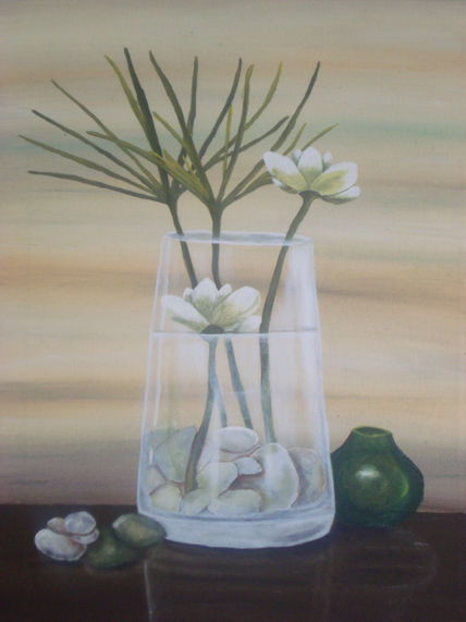 Transparencia