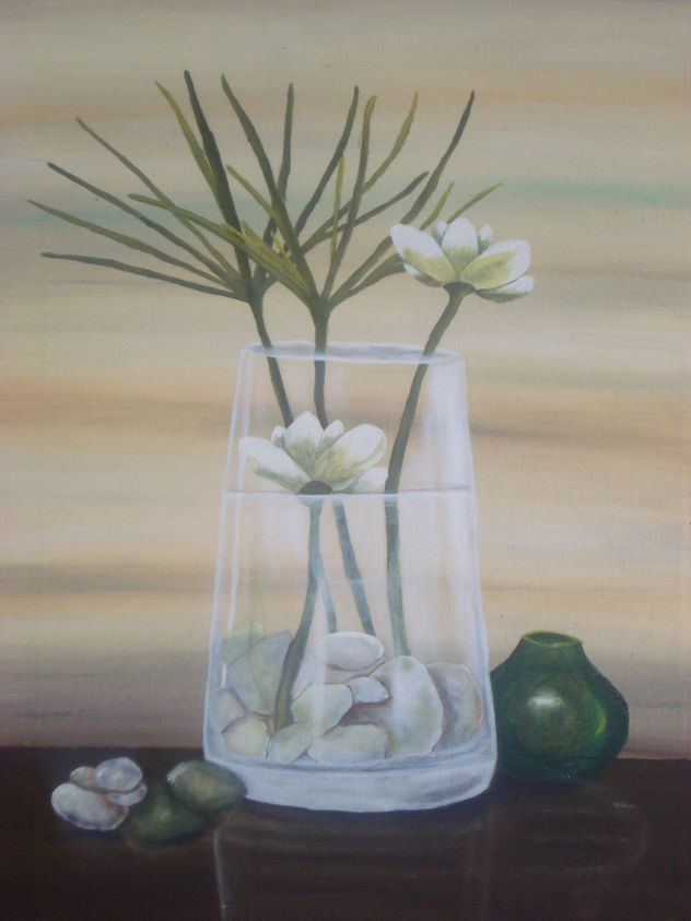 transparencia