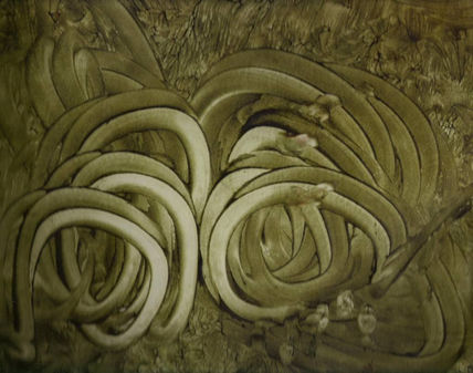 Ciclos