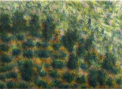 Arboles y arbustos