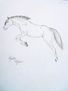 caballo saltando
